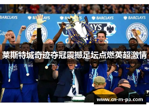 莱斯特城奇迹夺冠震撼足坛点燃英超激情 莱斯特城奇迹夺冠震撼足坛点燃英超激情